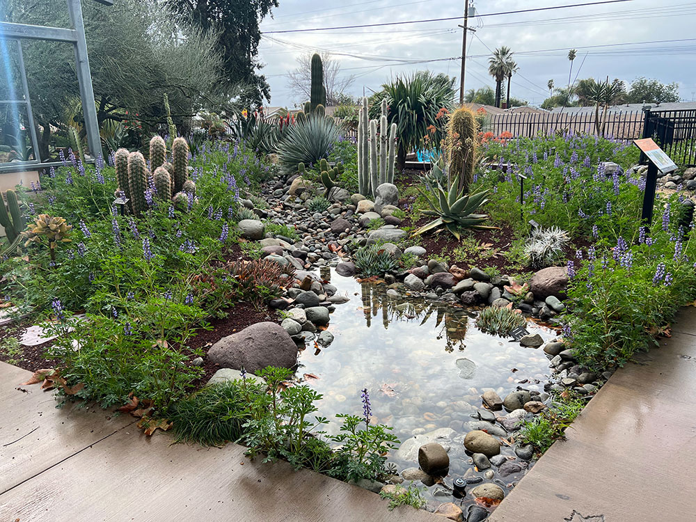 Garden-Features-Dry-Streambed